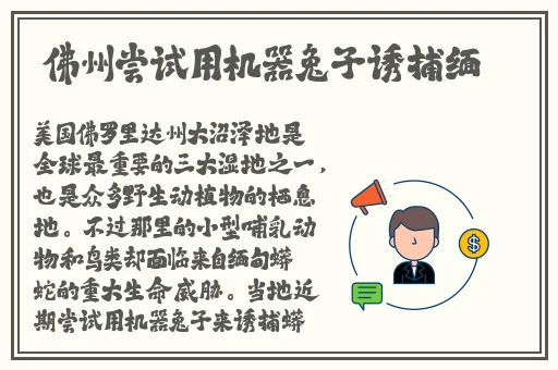 宝宝是自己撞进入还是自己坐下来
